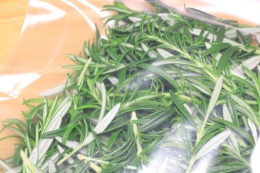 Plastik torbanın içinde taze biberiye filizleri