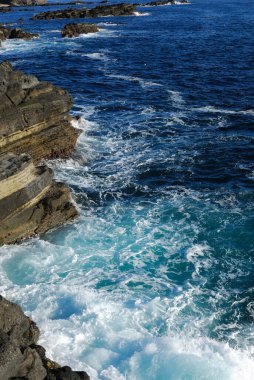 Okyanustaki kayalık kıyısı 