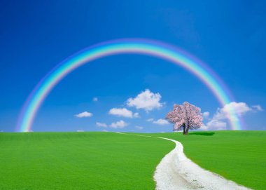 güzel renkli gökkuşağı yeşil çayırın üzerinde çiçek açan ağaçla