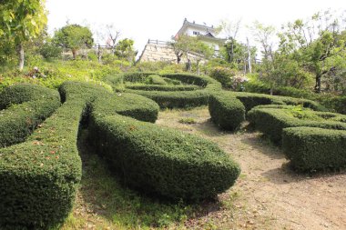 Dikkatlice budanmış yeşil çalılar eğimli bahçe yolunun yanında şekiller oluşturuyor.