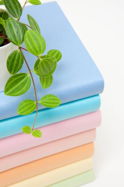 Renkli kapaklı ve saksılı bir yığın kitap.