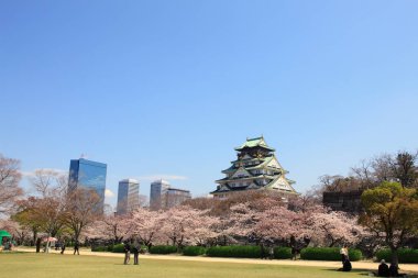 beautiful Osaka castle with cherry blossom and tourists. Japanese spring beautiful scene ,Osaka,Japan clipart