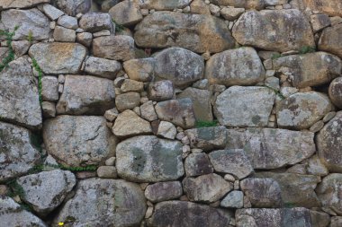 Japonya 'daki antik Hagi Kalesi kalıntıları