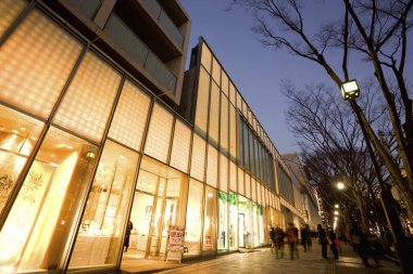 Tokyo şehrindeki Modern Omotesando Caddesi, Japonya.