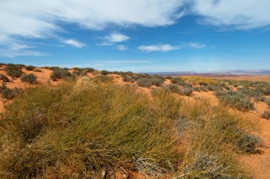 Doğanın arka planında mavi gökyüzü olan çöl manzarası