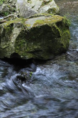 Ormandaki bir nehirde şelale.