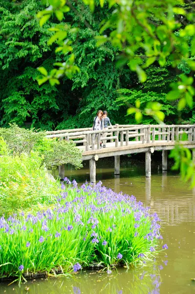 Hermosa Vista Verde Del Parque Con Puente Madera — Foto de Stock