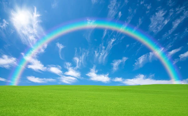 Hermoso Arco Iris Cielo Sobre Campo Verde —  Fotos de Stock