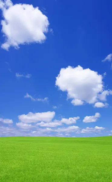 Prachtig Groen Veld Blauwe Lucht Het Platteland — Stockfoto