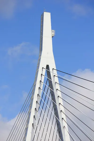 Torre Cables Cubierta Del Puente Tempozan Puente Cable Con Diseño —  Fotos de Stock