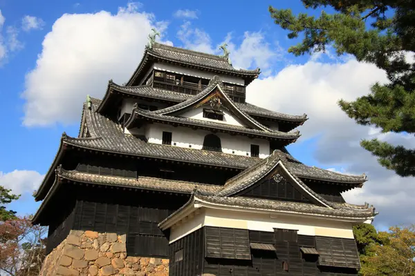 Majestic Matsue Castle Japão Destino Viagem — Fotografia de Stock