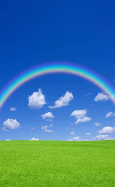 Beautiful Green Field Rainbow Blue Sky — Stock Photo, Image