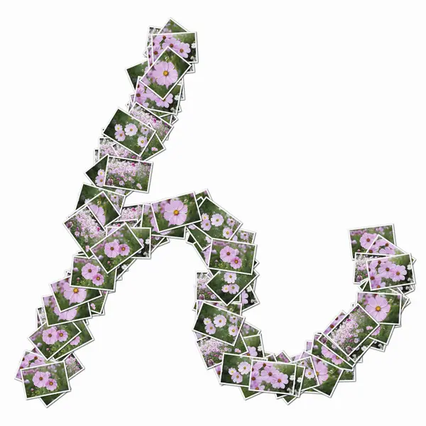 日本象形文字 由粉色花的扑克牌制成 — 图库照片