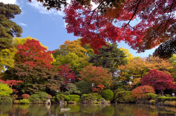 stock image beautiful japanese garden in the fall season.