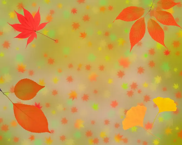 Heldere Herfstbladeren Herfst Achtergrond — Stockfoto