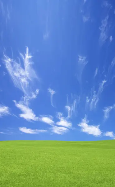 Красивые Зеленые Поля Голубое Небо Сельской Местности — стоковое фото