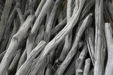 Yakın - kuru odun yığını, ahşap kütükler 