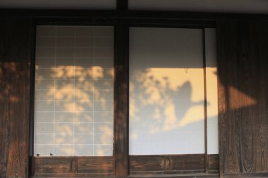 Güneş ışığı ağaç gölgelerini geleneksel ahşap pencereye yansıtıyor