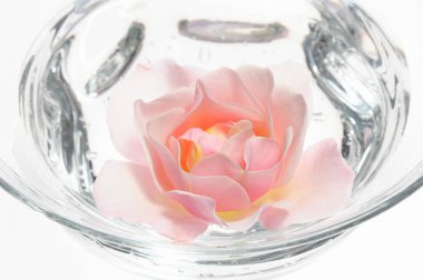 Beyaz arka planda pembe çiçekli bir bardak su.