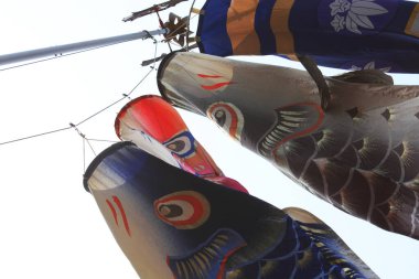 Japon koinobori ya da sazan balıklarının açık hava görüntüsü.                