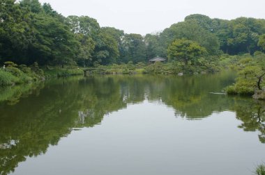 Park manzaralı göl manzarası 