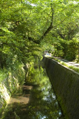Yaz boyunca yeşil şehir parkı 