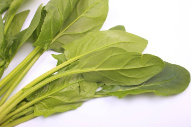 Beyaz arkaplanda ıspanak yaprakları