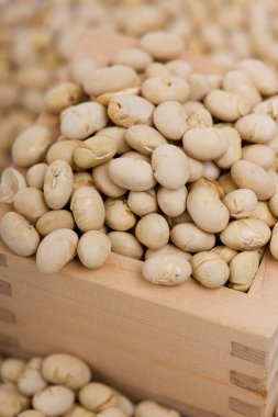 Çiğ organik Urad Dal, yakın plan.