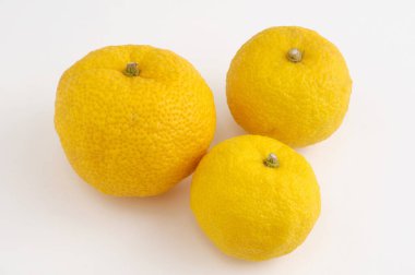 Taze limonların yakından görünümü 