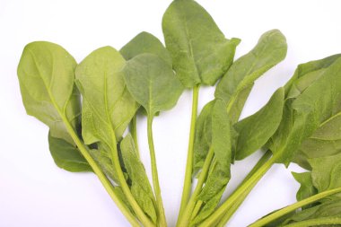 Beyaz arka plan üzerinde izole ıspanak yaprakları