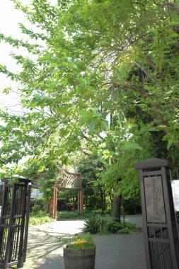 Huzurlu Asya parkında büyüleyici bir yaz günü.