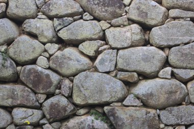 Japonya 'daki antik Hagi Kalesi kalıntıları