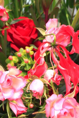 Bahçedeki güzel çiçekler, doğal arka plan.       