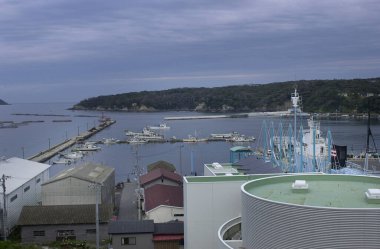 Japonya 'da tekne ve binaların olduğu liman manzarası