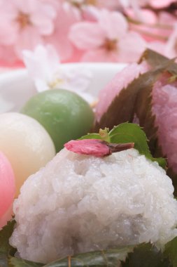 Renkli bahar çiçekleri güneş ışığında çiçek açıyor 