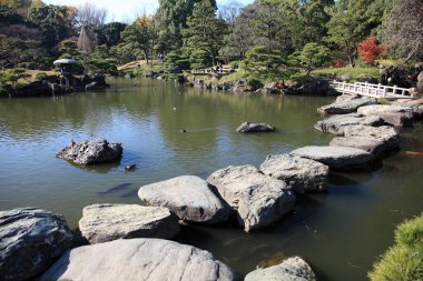 Büyük taş patika, yemyeşil sularla çevrili sakin bir gölet.