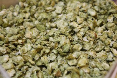 Kurumuş yeşil hop topaklarını demlemek için yakın plan görüntüsü