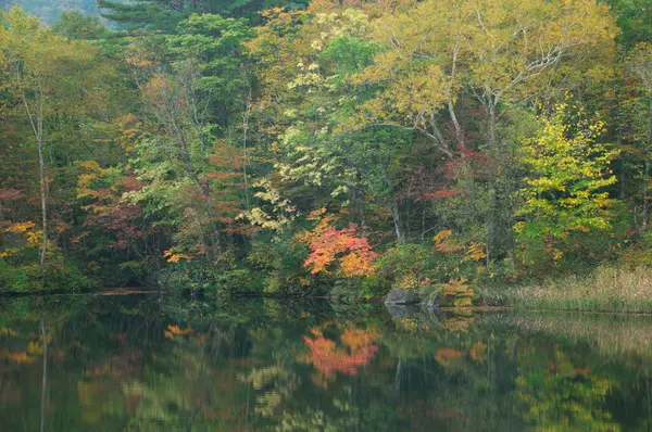 山中湖と美しい風景 — ストック写真