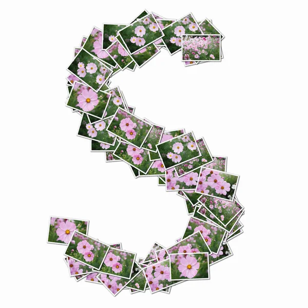 Símbolo Feito Cartas Jogar Com Flores Cor Rosa — Fotografia de Stock