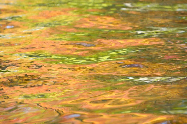 Superfície Água Com Monte Folhas Coloridas Reflexões — Fotografia de Stock