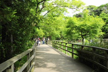 İnsanlar güneşli tahta kaldırım yolunda yürüyorlar.