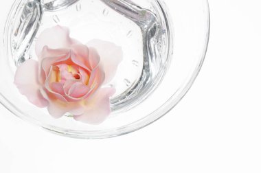 Beyaz arka planda pembe çiçekli bir bardak su.