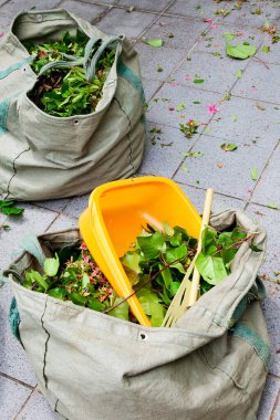 yeşil yapraklar bir torba üst görünümde 