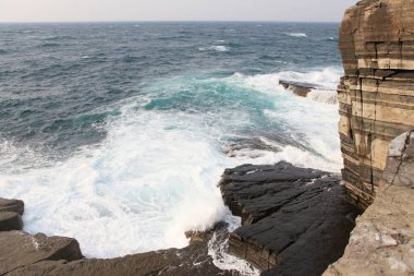 Dalgalar ve boynuzlarla dolu güzel sahil şeridi. 