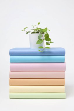 Renkli kapaklı ve saksılı bir yığın kitap.