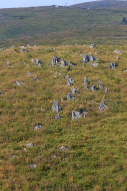 Akiyoshidai Milli Parkı 'nın güzel manzarası