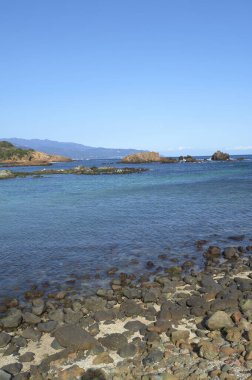 Deniz kıyısının güzel manzarası