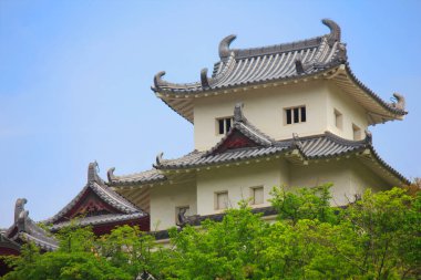 Güzel Japon tapınağı, Budizm konsepti