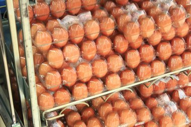 Satılık yumurtalar..