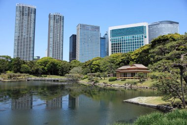 Güneşli bir günde şehir manzarası güzel bir arka plan. 